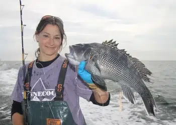 Deena Lippman Sea Bass Image