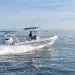 A RIBCRAFT skating across reflective blue waters