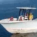 The Robalo R230 with a family onboard