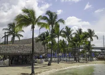 A tiki hut beach bar in the Florida Keys
