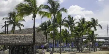 A tiki hut beach bar in the Florida Keys