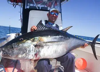 Man holds Large Tuna aboard his center console