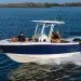 Robalo R230 Center Console