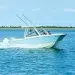 World Cat 260DC-X Dual Console