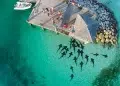 Great Exuma aerial photo feeding sharks