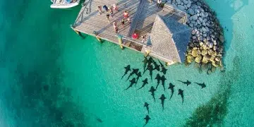 Great Exuma aerial photo feeding sharks