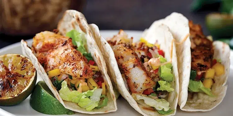 Invasive Fish Recipes - Tacos
