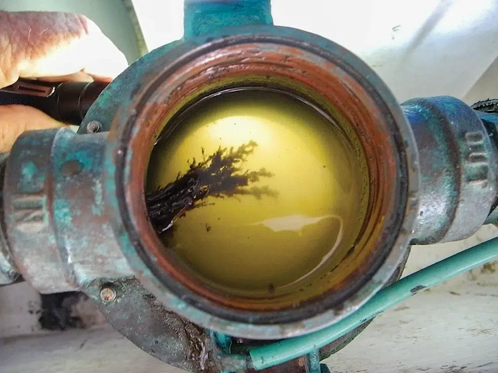 A clogged strainer with visible debris