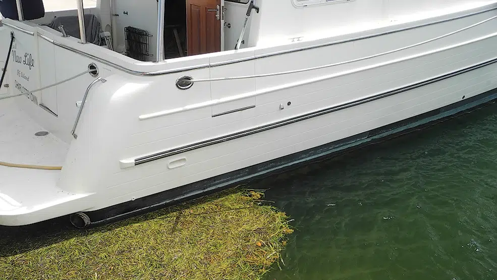 Debris in raw water around a boat