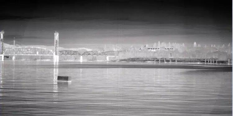 FLIR Night views