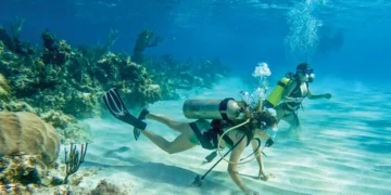 Two people scuba dive at a Bahamas National Park
