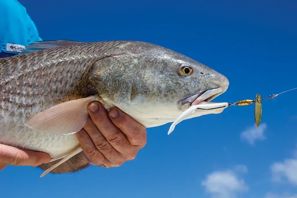 Man holds a fish he caught during summer