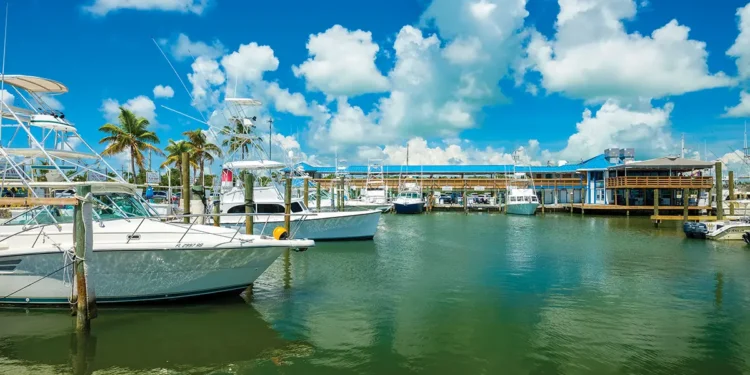 boat docked at a marina in the Florida Keys