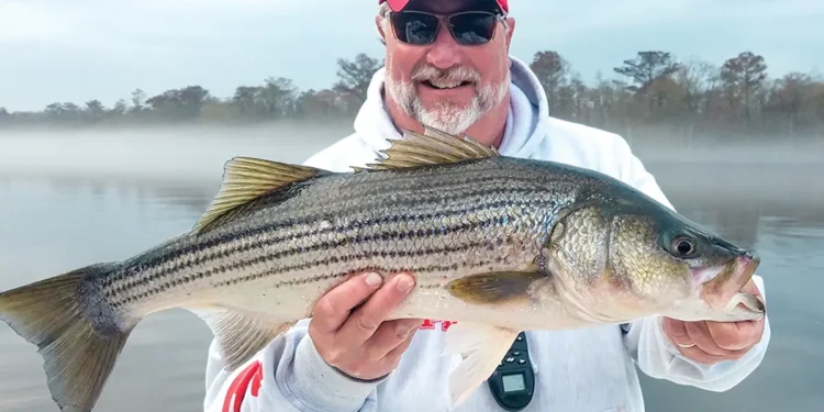 Short on Time? Here’s the Best Time to Fish for Big Catches