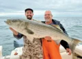 Dieter Herbert and Steve Hochenberger show off the 49.5-inch striper Herbert hooked to win the striper division of the 6th Annual Fall Fishing Showdown last year.
