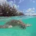 May 2026 Boating & Travel Events: From World Boating Day to Caribbean Food Festivals