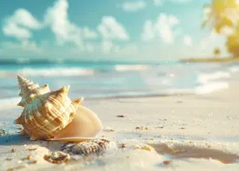 South Caicos Travel Guide: Secluded Shores, Crystal Waters & Island Adventure