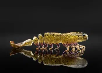 Best Spring Fishing Gear for 2026: ICAST Award-Winning Picks