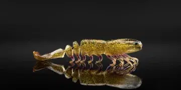 Best Spring Fishing Gear for 2026: ICAST Award-Winning Picks