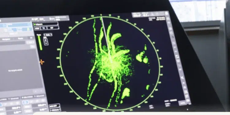 How AI Could Change Whale Protection for Recreational Boaters