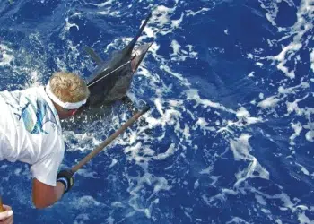 blue marlin fishing