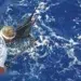 blue marlin fishing