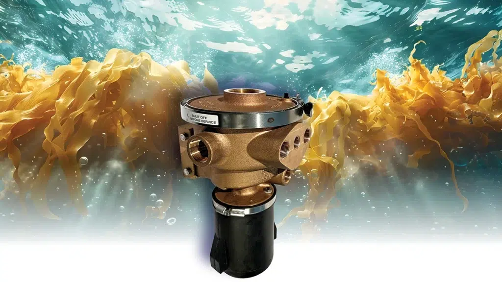 GROCO Hydromatic self-cleaning seawater strainer amid floating sargassum