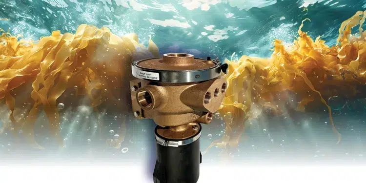GROCO Hydromatic self-cleaning seawater strainer amid floating sargassum